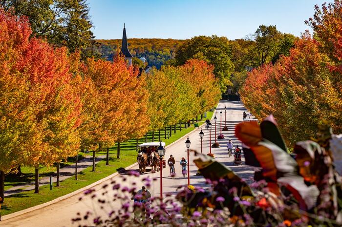 A horse-drawn conveyance on Mackinac Island in autumn
