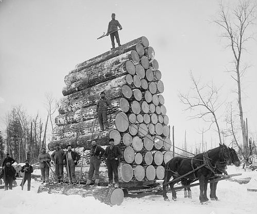 Michigan Timber, 1880, Library of Congress