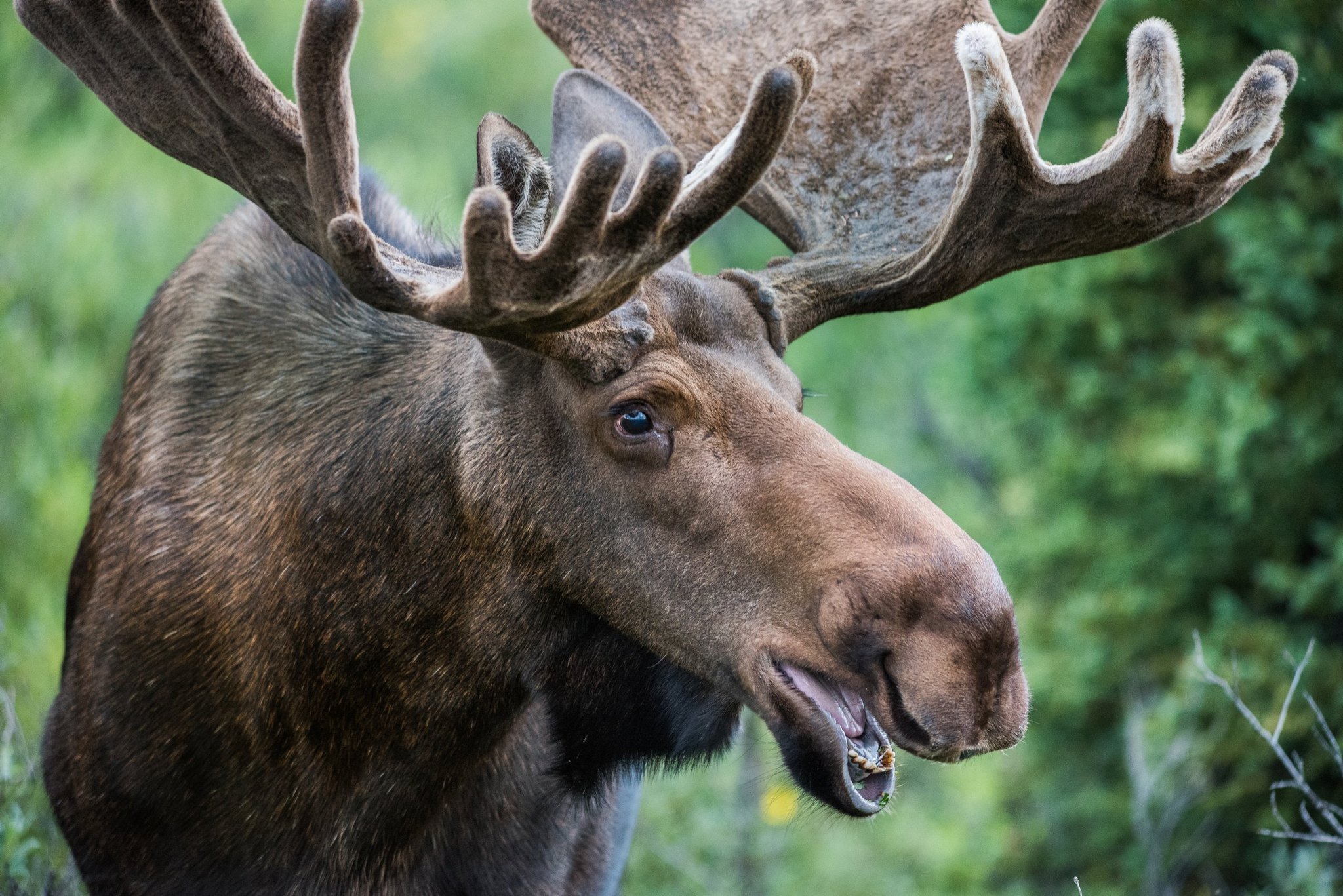 Upper Peninsula Michigan Today Great Place to Live or Visit