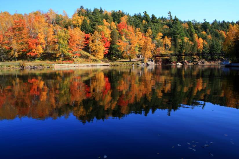 Ottawa National Forest in Autumn, Gogebic County Michigan