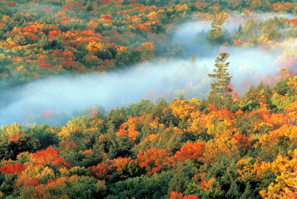 Autumn in the Porcupine Mountains