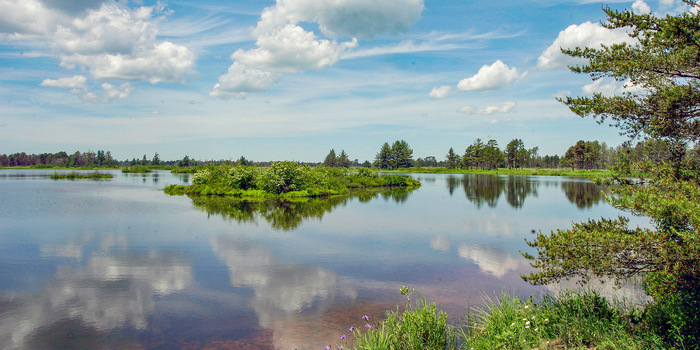 Seney National Wildlife Refuge
