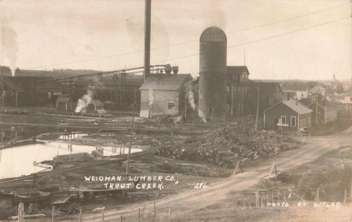 Trout Creek Lumber Company